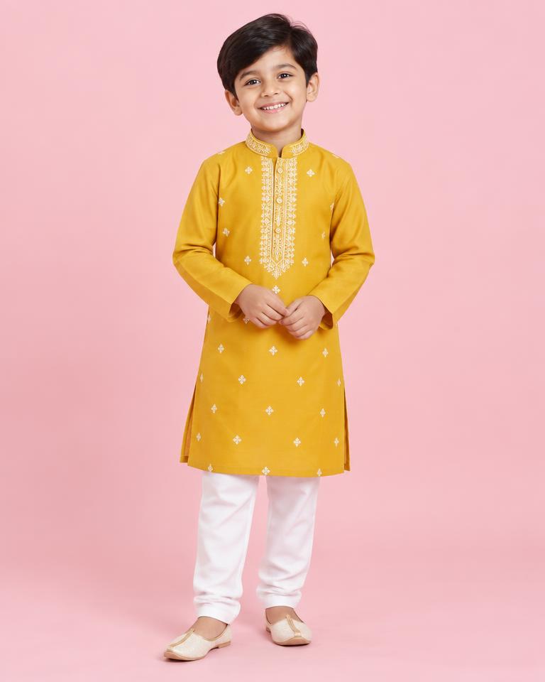 Festive Embroidered Kids Panjabi